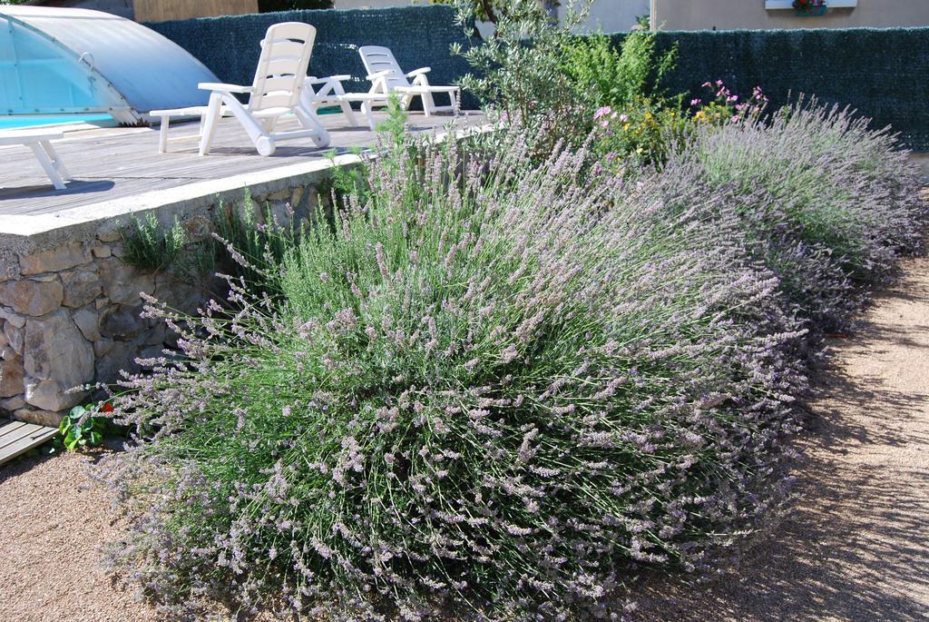 Les Terrasses De Castelmerle Niaux Εξωτερικό φωτογραφία